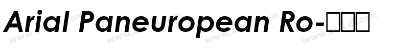 Arial Paneuropean Ro字体转换